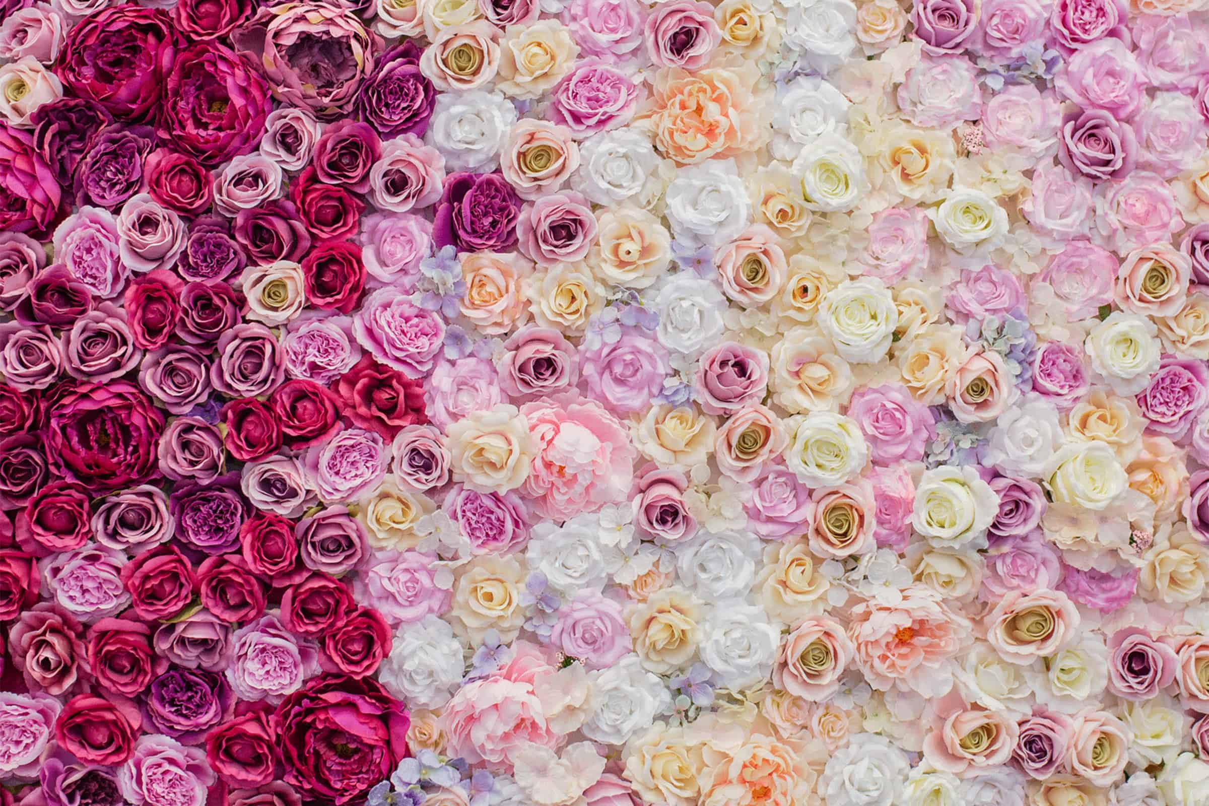 The future might be rosy for the flower supply chain — HAPPY VALENTINE 